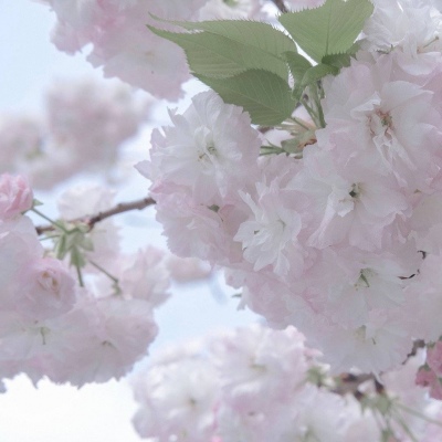 Furry绘画改稿技巧FurryQQ群